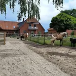 Familienfreundliche Grosse Mit Pferden, Spielplatz Direkt Am Haus, Sauna & Viel * نينبورغ