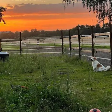 Auszeit Auf Der Seelenfarm Apartamento
