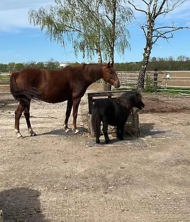 Lägenhet Auszeit Auf Der Seelenfarm *