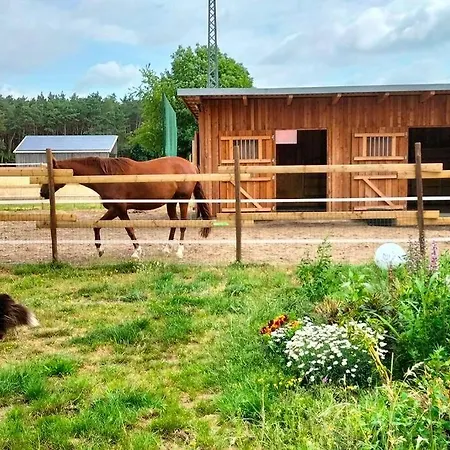 Auszeit Auf Der Seelenfarm Lägenhet Nienburg (Lower-Saxony)