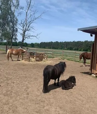 Auszeit Auf Der Seelenfarm
