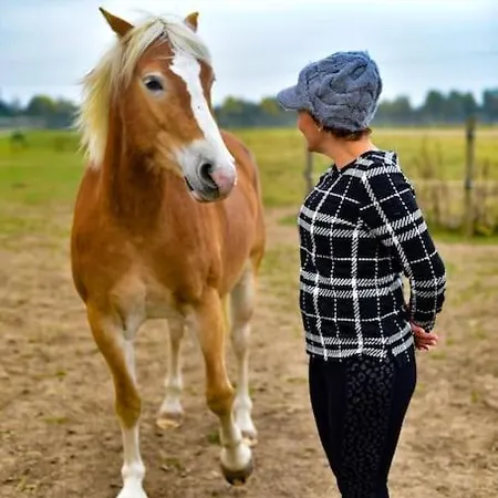 Auszeit Auf Der Seelenfarm Lägenhet Nienburg (Lower-Saxony)