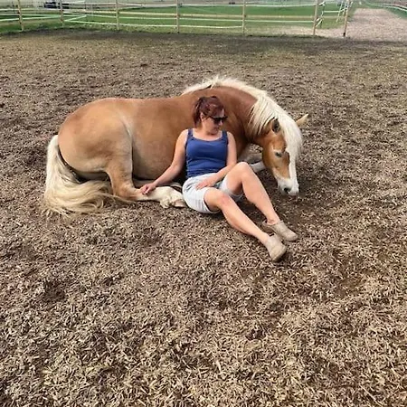 Auszeit Auf Der Seelenfarm *