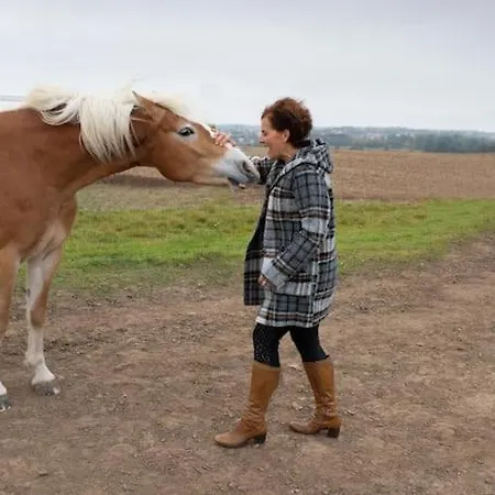 Auszeit Auf Der Seelenfarm Lägenhet
