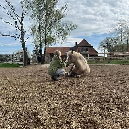 Auszeit Auf Der Seelenfarm Apartamento *