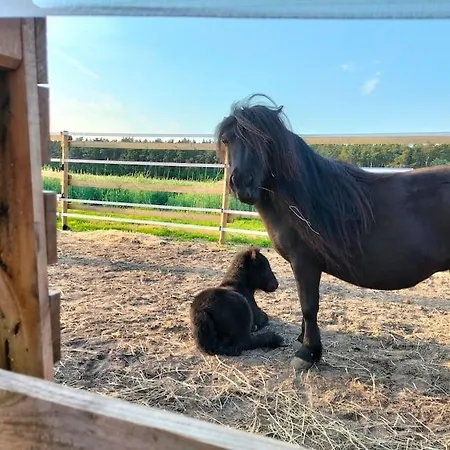 Auszeit Auf Der Seelenfarm *