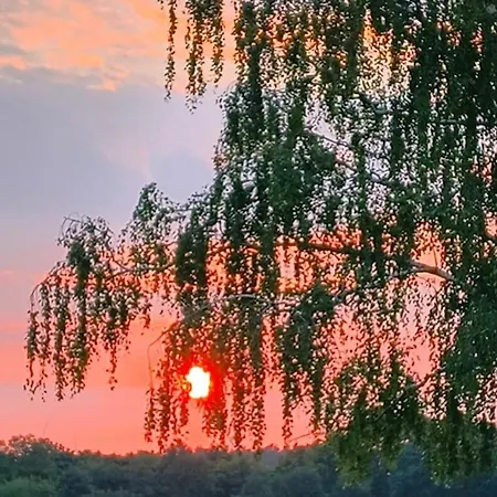 Auszeit Auf Der Seelenfarm Nienburg (Lower-Saxony)