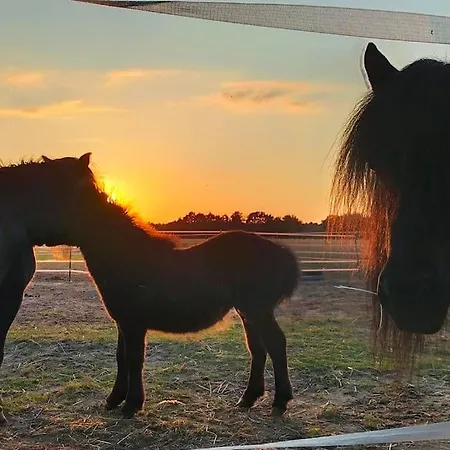 Auszeit Auf Der Seelenfarm Apartamento