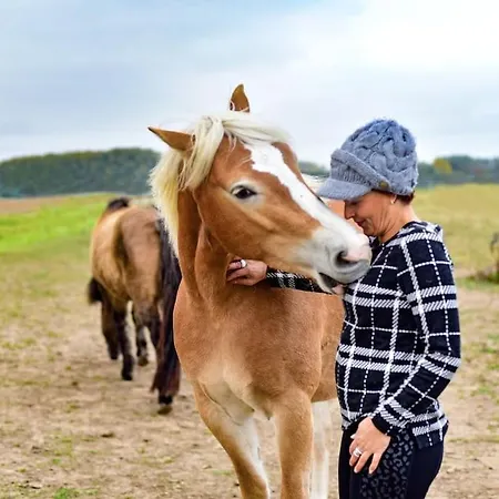 Auszeit Auf Der Seelenfarm Lägenhet