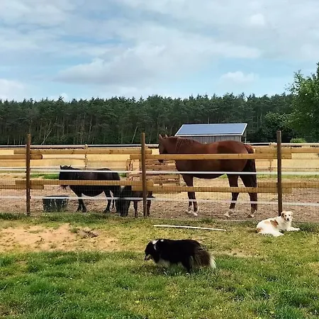 Auszeit Auf Der Seelenfarm Apartamento *