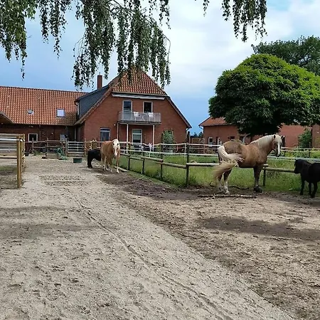 Familienfreundliche Grosse Mit Pferden, Spielplatz Direkt Am Haus, Sauna & Viel * Nienburg (Lower-Saxony)