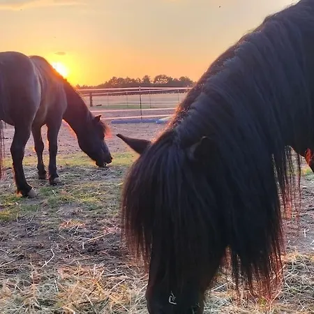 Auszeit Auf Der Seelenfarm Lägenhet *