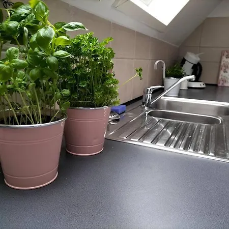 Auszeit Auf Der Seelenfarm Apartamento Nienburg (Lower-Saxony)