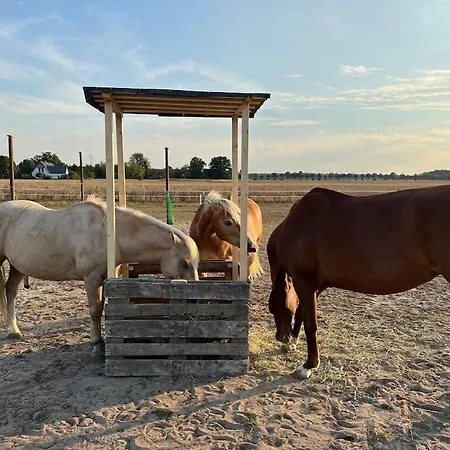Auszeit Auf Der Seelenfarm * Nienburg (Lower-Saxony)
