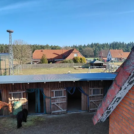 شقة Familienfreundliche Grosse Mit Pferden, Spielplatz Direkt Am Haus, Sauna & Viel نينبورغ