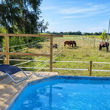 Familienfreundliche Grosse Mit Pferden, Spielplatz Direkt Am Haus, Sauna & Viel * نينبورغ