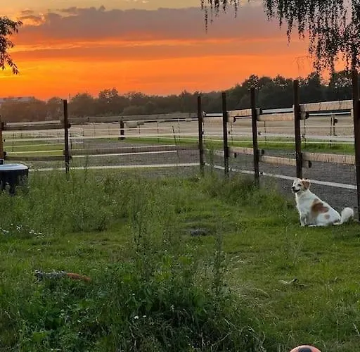 Auszeit Auf Der Seelenfarm Apartment