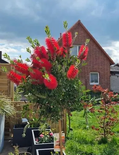 Auszeit Auf Der Seelenfarm Apartment