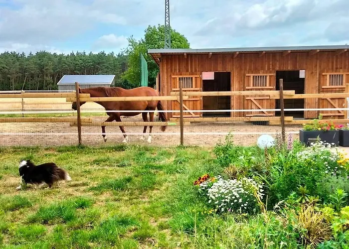 Auszeit Auf Der Seelenfarm Apartment Nienburg (Lower-Saxony)
