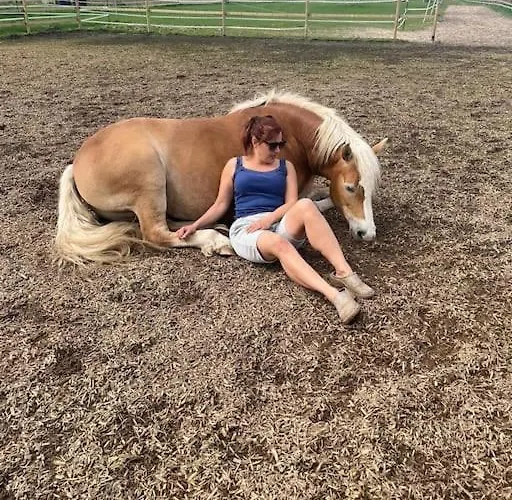 Auszeit Auf Der Seelenfarm *