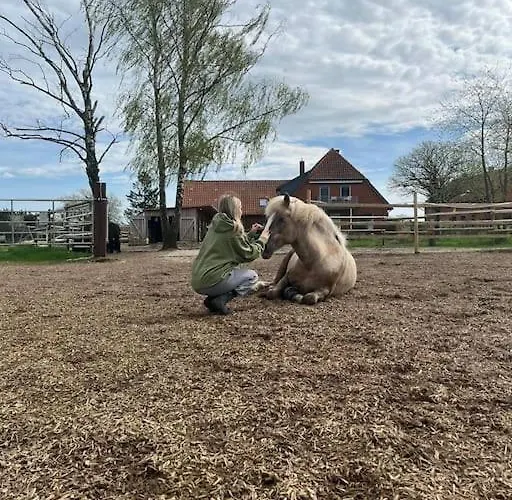 Auszeit Auf Der Seelenfarm Apartment *