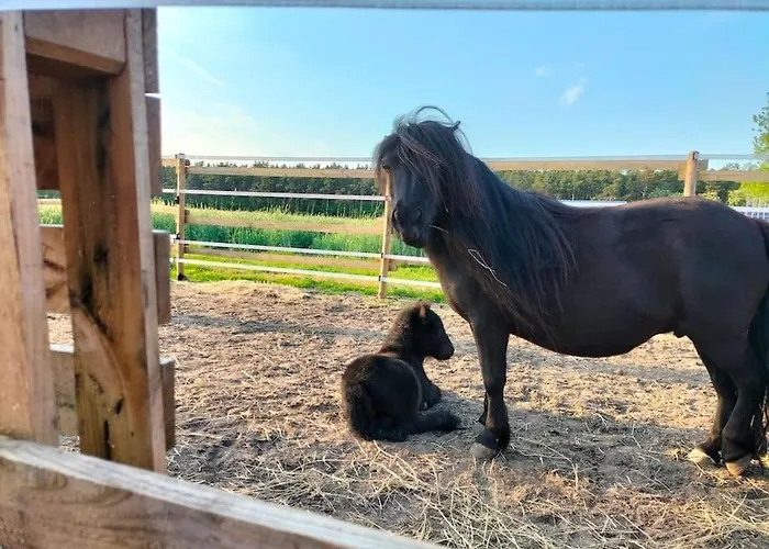 Auszeit Auf Der Seelenfarm *