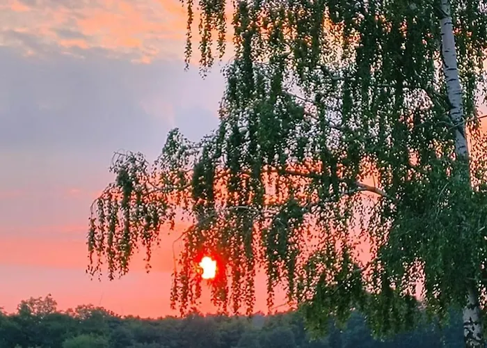 Auszeit Auf Der Seelenfarm Nienburg (Lower-Saxony)