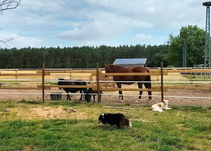 Auszeit Auf Der Seelenfarm Apartment *