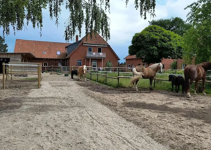Auszeit Auf Der Seelenfarm * Nienburg (Lower-Saxony)